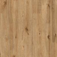 ART 12/33 ДУБ СОЛНЕЧНЫЙ