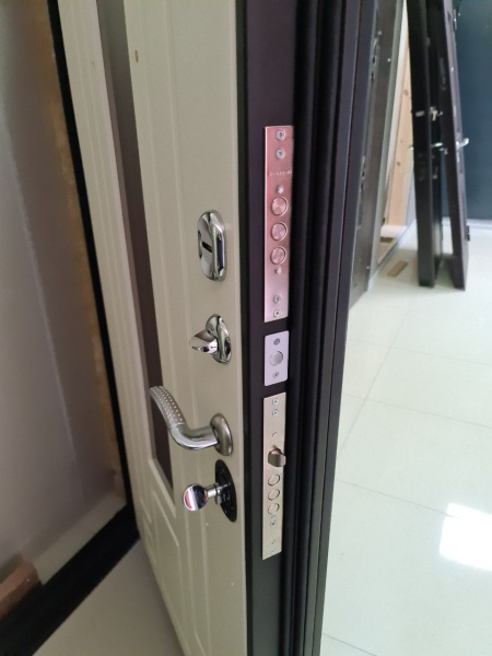 ВЕНЕРА (ДВУХСТВОРЧАТАЯ)